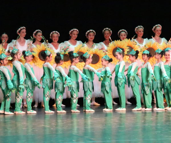 Bloemenwals australie, balletlessen voor kinderen in antwerpen, balletschool voor kinderen